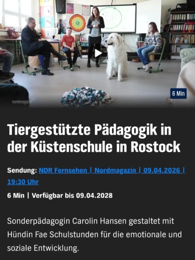 Fachtag beim Schulhundearbeitskreis