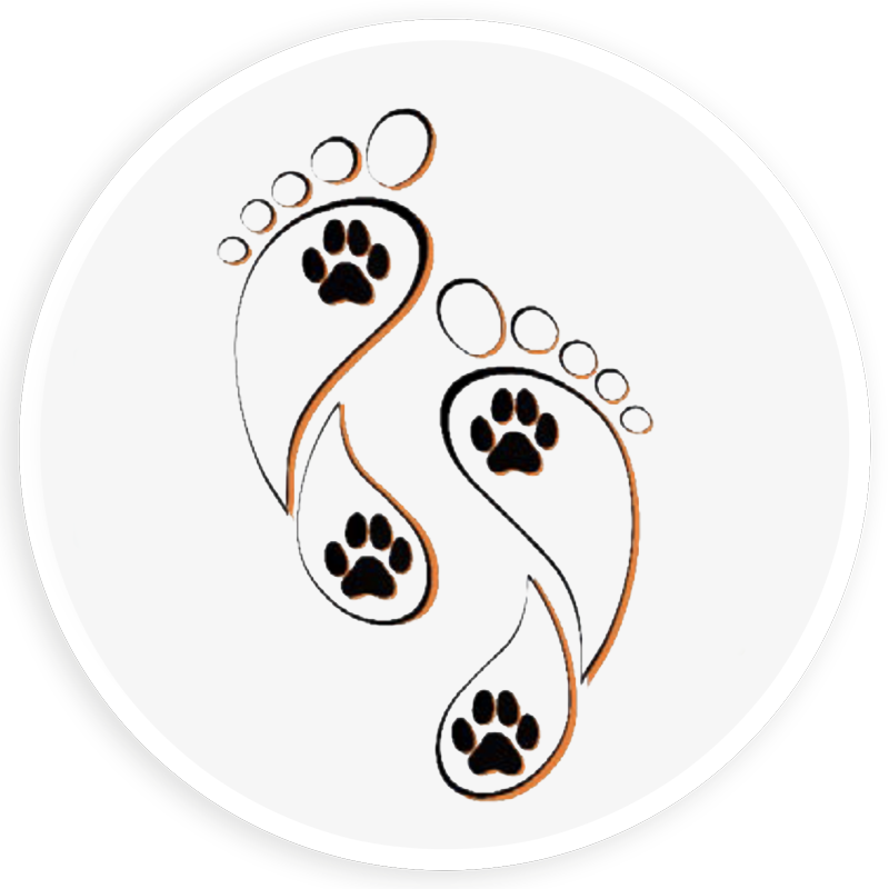 Logo-Vier-fuer-zwei